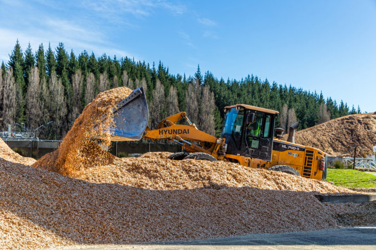 Pan Pac Forest Products Ltd, Hawke's Bay and Otago – Business