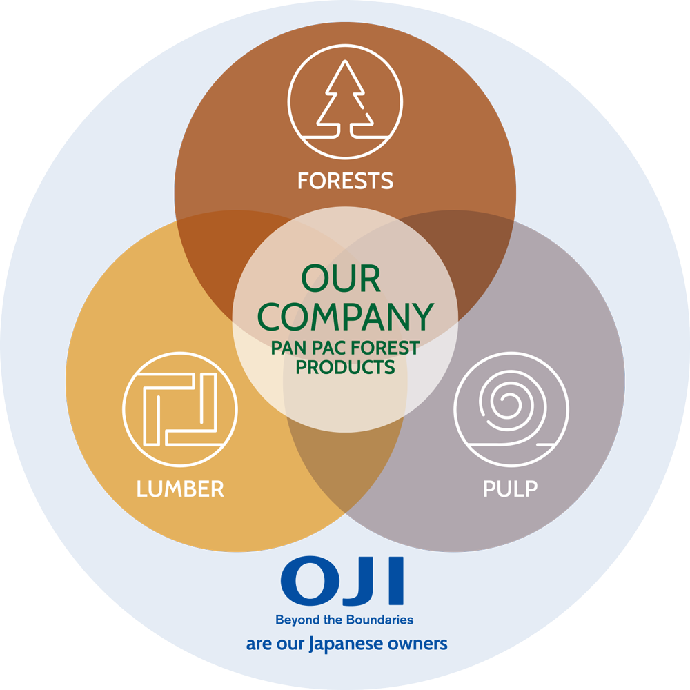 Pan-Pac-Forestry-Company-Structure