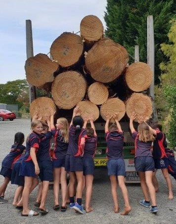 Pan-Pac-Pukehamoamoa-School-Wood-is-Good-programme