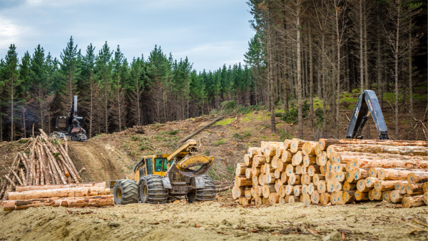 pan-pac-harvesting-and-logging-systems