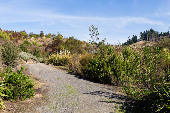 Pan-Pac-Ken-Ross-Reserve-Walkway