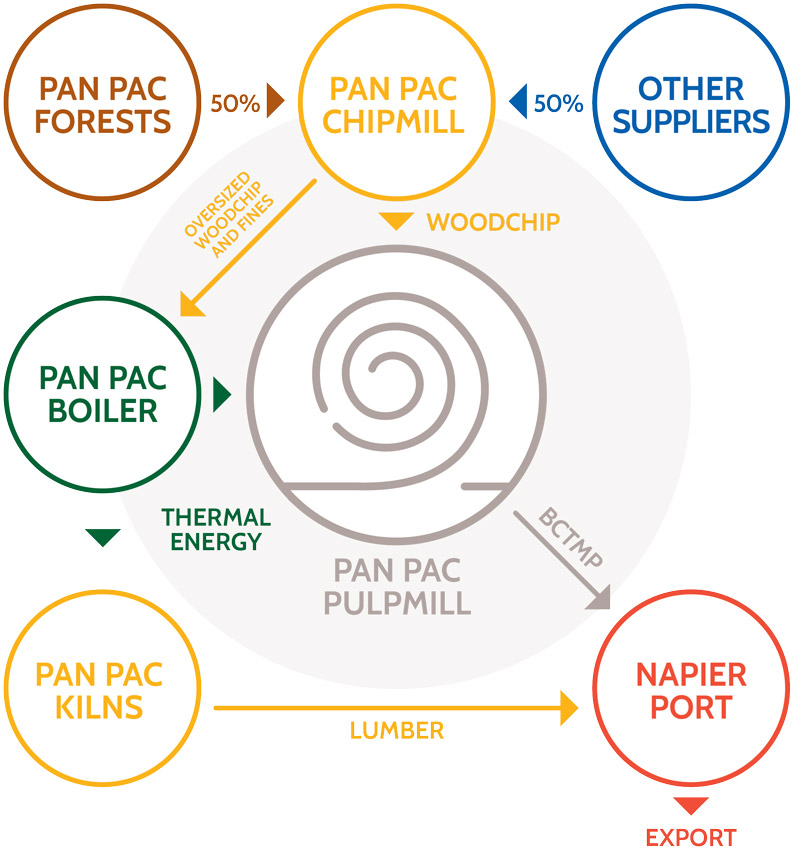 Pan-Pac-Pulp-Resource-Diagram